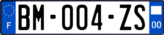 BM-004-ZS