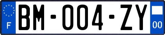 BM-004-ZY