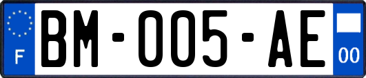 BM-005-AE