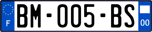 BM-005-BS