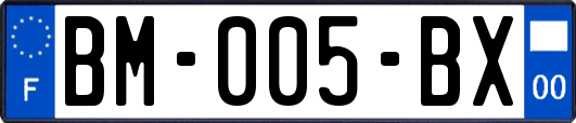 BM-005-BX