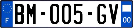 BM-005-GV