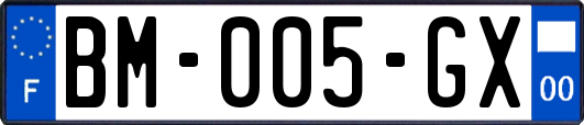 BM-005-GX