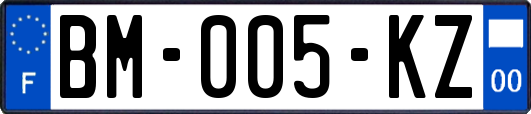 BM-005-KZ