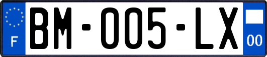 BM-005-LX