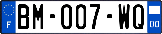 BM-007-WQ