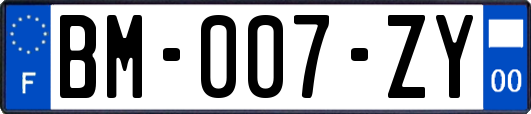 BM-007-ZY