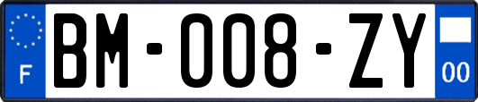 BM-008-ZY