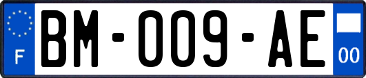 BM-009-AE