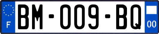 BM-009-BQ