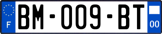 BM-009-BT