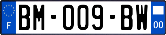 BM-009-BW