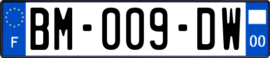 BM-009-DW