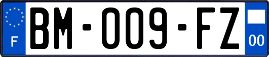 BM-009-FZ