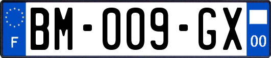 BM-009-GX