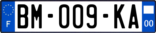 BM-009-KA