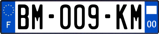 BM-009-KM