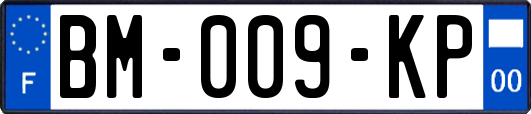 BM-009-KP