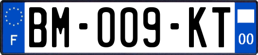 BM-009-KT