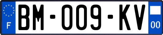 BM-009-KV
