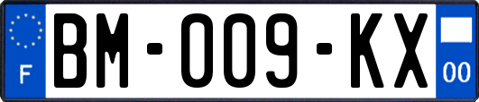 BM-009-KX