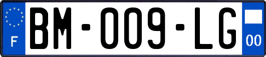 BM-009-LG