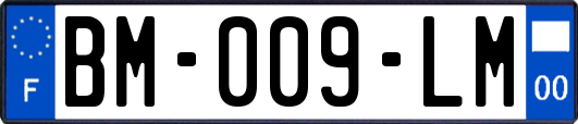 BM-009-LM