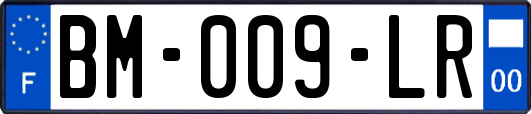 BM-009-LR