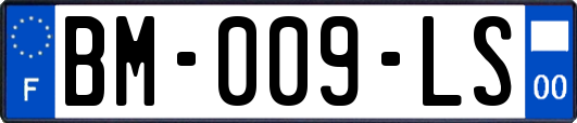 BM-009-LS