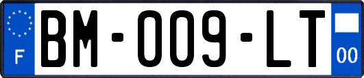 BM-009-LT