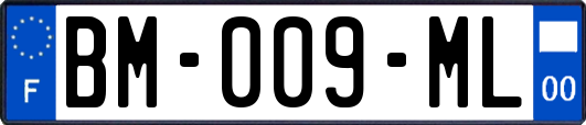 BM-009-ML