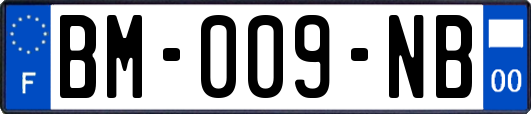 BM-009-NB