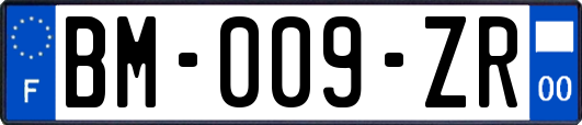 BM-009-ZR