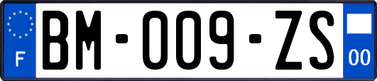 BM-009-ZS