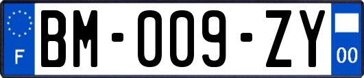 BM-009-ZY