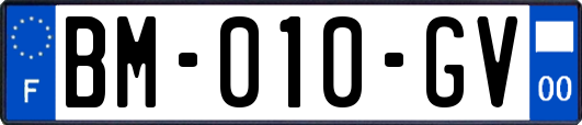 BM-010-GV