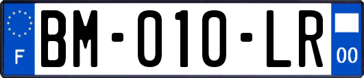 BM-010-LR