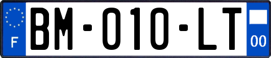 BM-010-LT