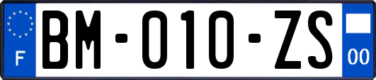 BM-010-ZS