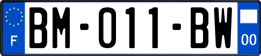 BM-011-BW