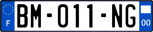 BM-011-NG