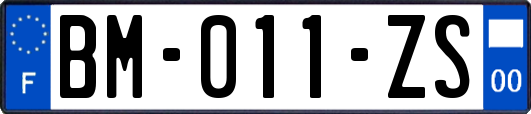 BM-011-ZS