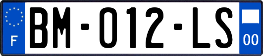 BM-012-LS