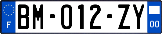 BM-012-ZY