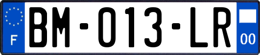 BM-013-LR