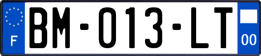 BM-013-LT