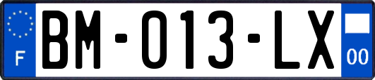 BM-013-LX