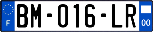 BM-016-LR
