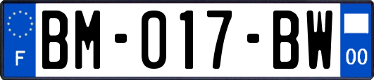 BM-017-BW