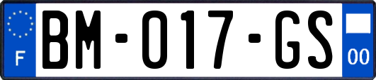 BM-017-GS